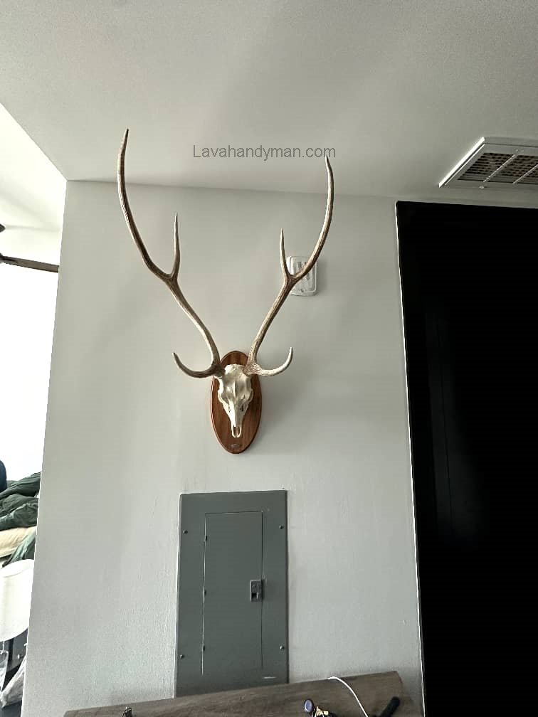 Decorative Wall Art